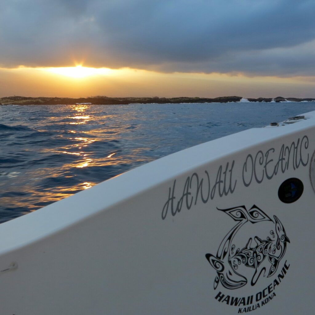 Private Snorkeling Charters Hawaii Oceanic