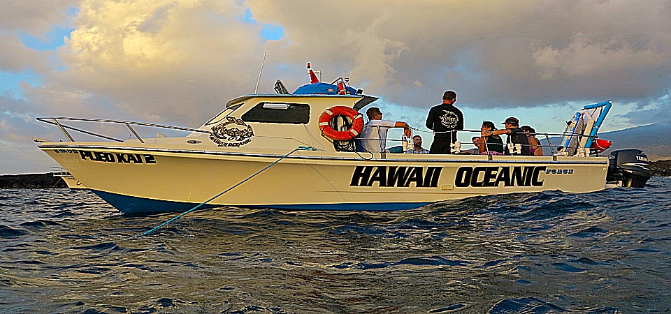 Hawaii Oceanic boat Pueo Kai 2 provides manta ray night snorkel tours, dolphin tours, and Kealakekua Bay tours